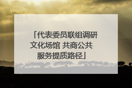 代表委员联组调研文化场馆 共商公共服务提质路径