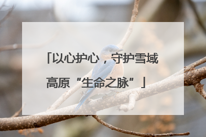 以心护心，守护雪域高原“生命之脉”