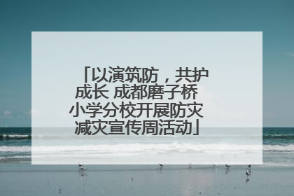 以演筑防，共护成长 成都磨子桥小学分校开展防灾减灾宣传周活动