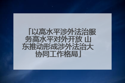 以高水平涉外法治服务高水平对外开放 山东推动形成涉外法治大协同工作格局
