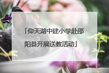 仰天湖中建小学赴邵阳县开展送教活动