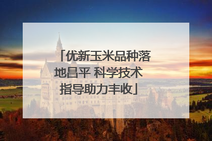 优新玉米品种落地昌平 科学技术指导助力丰收