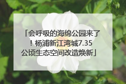 会呼吸的海绵公园来了！杨浦新江湾城7.35公顷生态空间改造焕新