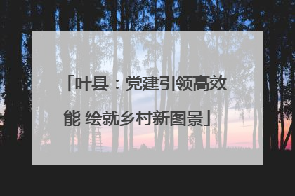 叶县：党建引领高效能 绘就乡村新图景