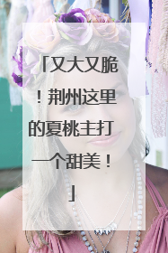 又大又脆！荆州这里的夏桃主打一个甜美！