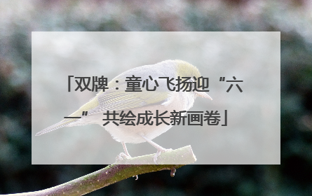 双牌：童心飞扬迎“六一” 共绘成长新画卷