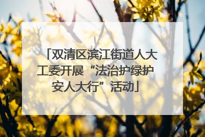 双清区滨江街道人大工委开展“法治护绿护安人大行”活动
