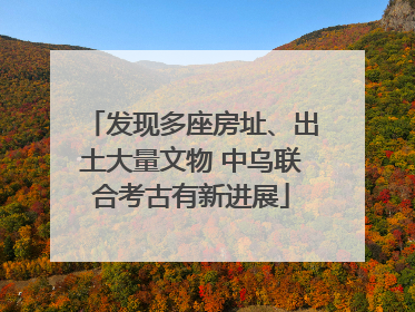 发现多座房址、出土大量文物 中乌联合考古有新进展