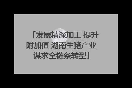 发展精深加工 提升附加值 湖南生猪产业谋求全链条转型