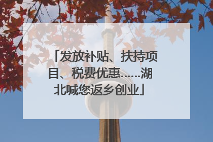 发放补贴、扶持项目、税费优惠……湖北喊您返乡创业