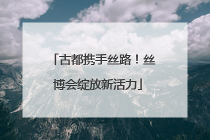 古都携手丝路！丝博会绽放新活力
