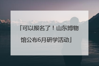 可以报名了！山东博物馆公布6月研学活动