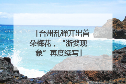 台州乱弹开出首朵梅花，“浙婺现象”再度续写