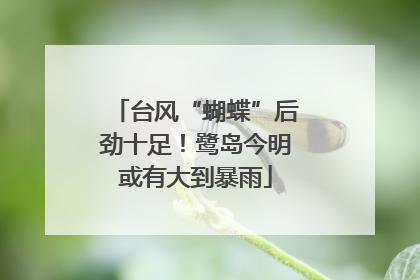 台风“蝴蝶”后劲十足！鹭岛今明或有大到暴雨
