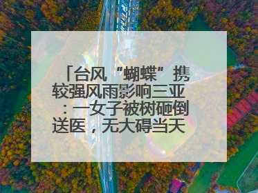 台风“蝴蝶”携较强风雨影响三亚：一女子被树砸倒送医，无大碍当天回家 当地已紧急清障