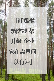 卸包袱 筑防线 帮升级 企业家在嵩县何以有为