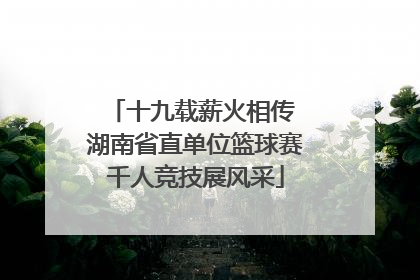 十九载薪火相传 湖南省直单位篮球赛千人竞技展风采