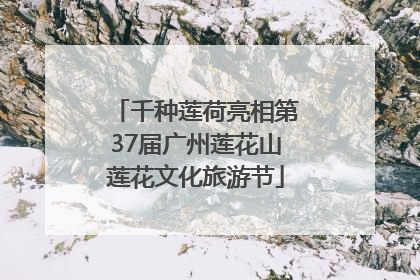 千种莲荷亮相第37届广州莲花山莲花文化旅游节