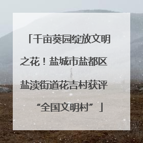 千亩葵园绽放文明之花！盐城市盐都区盐渎街道花吉村获评“全国文明村”