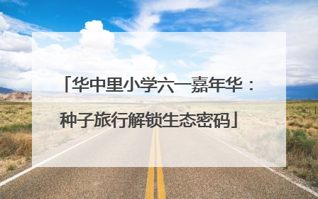 华中里小学六一嘉年华：种子旅行解锁生态密码