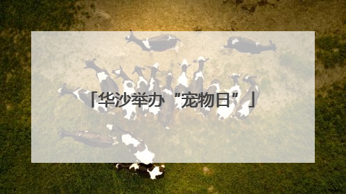 华沙举办“宠物日”