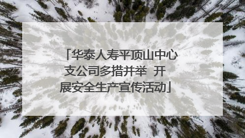 华泰人寿平顶山中心支公司多措并举  开展安全生产宣传活动