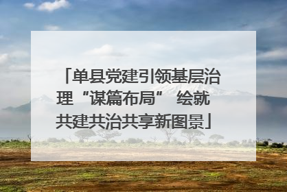 单县党建引领基层治理“谋篇布局” 绘就共建共治共享新图景