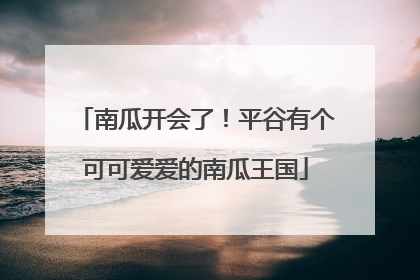南瓜开会了！平谷有个可可爱爱的南瓜王国