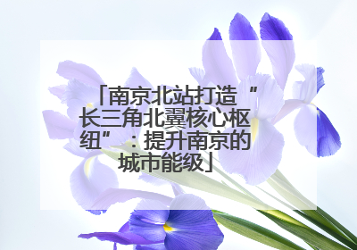 南京北站打造“长三角北翼核心枢纽”：提升南京的城市能级