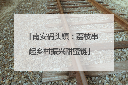南安码头镇：荔枝串起乡村振兴甜蜜链