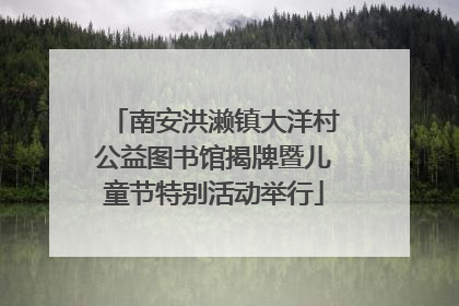 南安洪濑镇大洋村公益图书馆揭牌暨儿童节特别活动举行