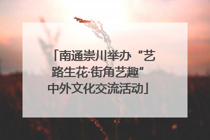 南通崇川举办“艺路生花·街角艺趣”中外文化交流活动