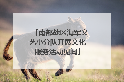 南部战区海军文艺小分队开展文化服务活动见闻