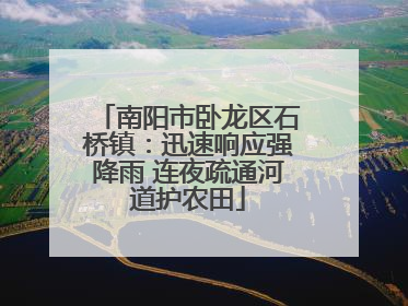 南阳市卧龙区石桥镇：迅速响应强降雨 连夜疏通河道护农田