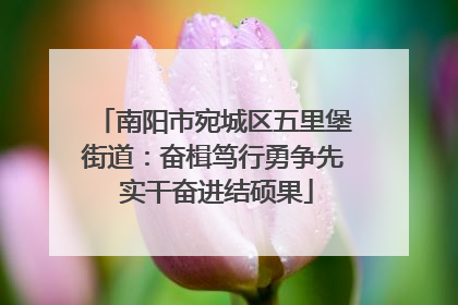 南阳市宛城区五里堡街道：奋楫笃行勇争先 实干奋进结硕果
