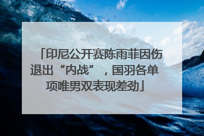 印尼公开赛陈雨菲因伤退出“内战”，国羽各单项唯男双表现差劲
