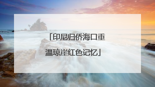印尼归侨海口重温琼崖红色记忆