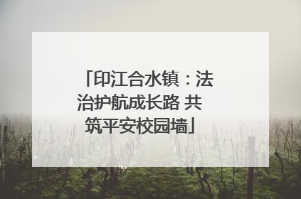 印江合水镇：法治护航成长路 共筑平安校园墙