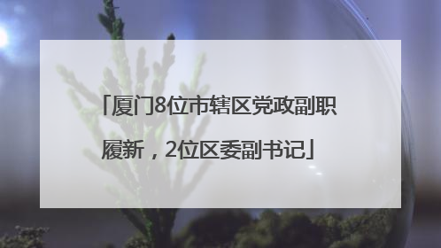 厦门8位市辖区党政副职履新，2位区委副书记