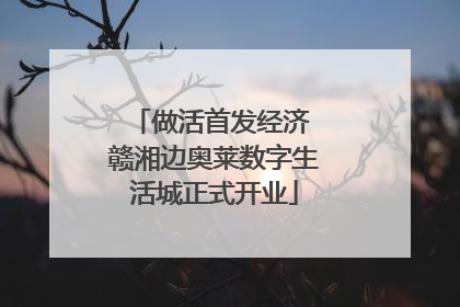 做活首发经济 赣湘边奥莱数字生活城正式开业