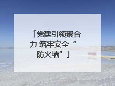 党建引领聚合力 筑牢安全“防火墙”