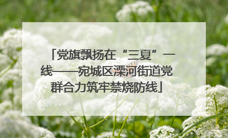 党旗飘扬在“三夏”一线——宛城区溧河街道党群合力筑牢禁烧防线