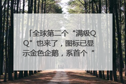 全球第二个“满级QQ”也来了，图标已显示金色企鹅，系首个“满级QQ”的小号