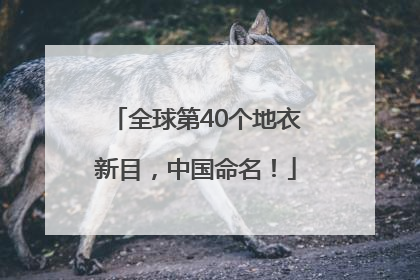 全球第40个地衣新目，中国命名！