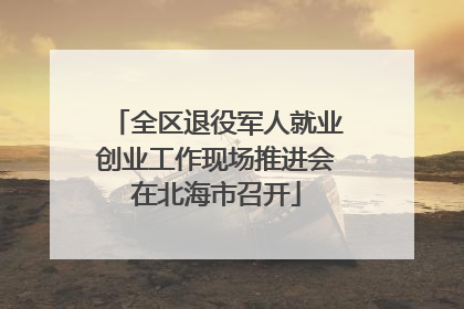 全区退役军人就业创业工作现场推进会在北海市召开