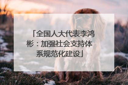 全国人大代表李鸿彬：加强社会支持体系规范化建设