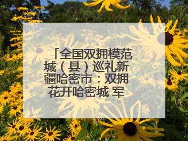 全国双拥模范城（县）巡礼新疆哈密市：双拥花开哈密城 军民同心谱新篇