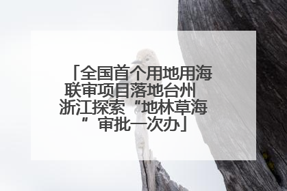 全国首个用地用海联审项目落地台州 浙江探索“地林草海”审批一次办