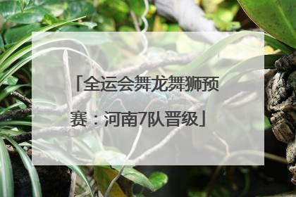 全运会舞龙舞狮预赛：河南7队晋级