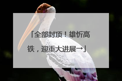 全部封顶！雄忻高铁，迎重大进展→